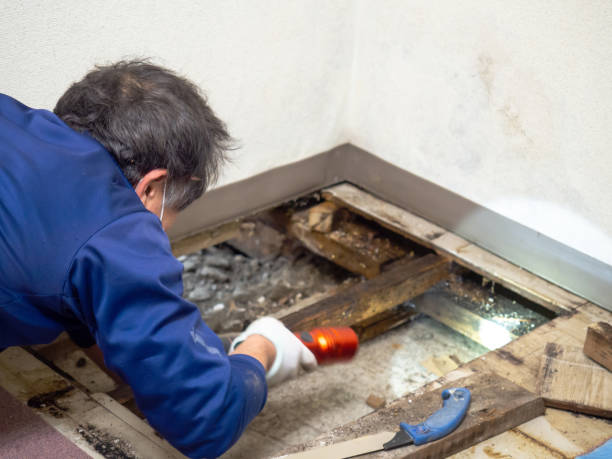 Best Crawl Space Mold Remediation in Milwaukee, WI