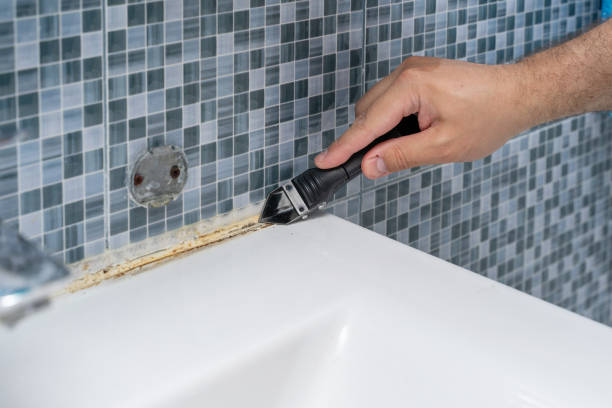 Best Residential Mold Remediation in Milwaukee, WI